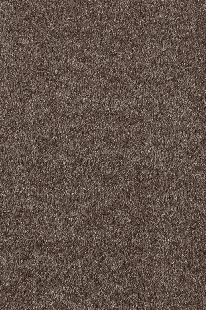 Vista 44